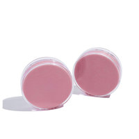 En stock – Boîtier vide rose pour coussin d'air cosmétique et fond de teint liquide PS 6g, compact pour blush