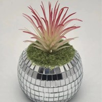 Plante artificielle verte en pot, rose en mousse, bonsaï, écologique, durable, décoration de jardin et de bureau, simulation en plastique, directement de l'usine
