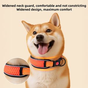 Accessoires pour chiens WholesalePet mode pour teckels collier en nylon d’entraînement de luxe pour petits et grands chiens - Product Image 2