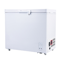 Congélateur coffre solaire 208L à porte unique, ouverture par le haut, DC 12/24V, alimentation batterie/électrique, éclairage LED, usage commercial/hôtelier, économe en énergie