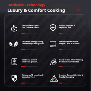 Wholesale Custom New Energy No Gas Portable Stainless Steel Single-cooker 2800w Commercial Outdoor Household Kitchen Wholesale - Product Image 4
