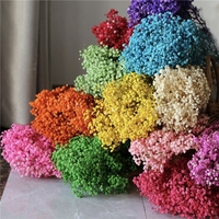 Bouquet de Gypsophile LUIY - Fleurs séchées de Gypsophile blanches pour mariage ou décoration intérieure