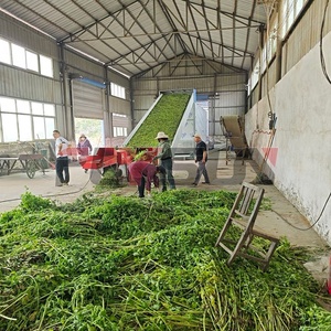Machine de séchage industrielle pour feuilles de romarin, citronnelle, fleurs d'artichaut, feuilles de stévia, machine à sécher l'herbe - Product Image 3