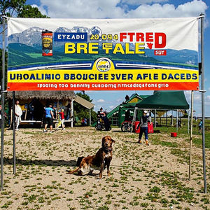 新趋势全彩印刷防水聚酯横幅，可定制尺寸和颜色，铝制旗杆，适合生日活动 - Product Image 3