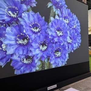 Wupro mới tốt nhất cao cấp cbsp tối đa tương phản tầng tăng màn hình chiếu cơ giới cho UST <span class=keywords><strong>4K</strong></span> điện alr Màn hình máy chiếu - Product Image 6