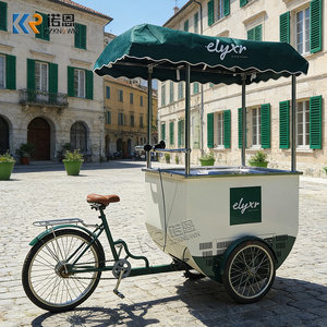 <span class=keywords><strong>Carrito</strong></span> de Venta de Comida Móvil, <span class=keywords><strong>Carrito</strong></span> de Helados de Diseño Moderno <span class=keywords><strong>para</strong></span> Exteriores, <span class=keywords><strong>Carrito</strong></span> de Helados, <span class=keywords><strong>Bicicleta</strong></span> <span class=keywords><strong>para</strong></span> Venta de Helados Congelados - Product Image 2