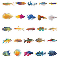 Autocollants découpés en forme de poisson rouge de dessin animé, autocollants en vinyle imperméables, pack d'autocollants mixtes Kawaii, autocollants pour scrapbooking, autocollants pour bouteille d'eau