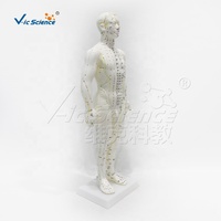 Modelo de Acupuntura Masculino de PVC Suave de 50 cm con 409 Puntos Etiquetados y Soporte para Laboratorio de Habilidades de Enfermería, con Certificaciones CE, ISO, ROHS, CNAS y SGS
