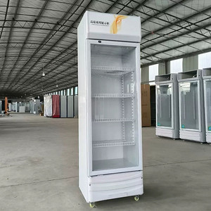 Congélateur vertical commercial à porte vitrée simple, vitrine réfrigérée pour boissons, congélateur, refroidisseur, réfrigérateur pour boissons - Product Image 5