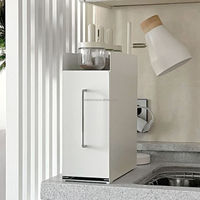 Organisateur de Comptoir Coulissant Double pour Épices, Tiroir de Rangement de Cuisine Multifonctionnel, Gain de Place, Épices Durables