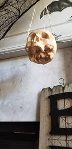 <span class=keywords><strong>Skull</strong></span> Treo <span class=keywords><strong>Planter</strong></span> Cho Trong Nhà Hoặc Ngoài Trời Mọng Nước Hoặc Cây Nhỏ Halloween Trang Trí Nội Thất Skeleton Ma Rùng Rợn Nồi Não - Product Image 3