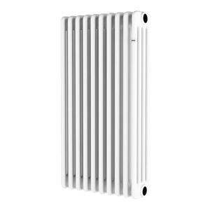 Radiatore Tubolare a 4 Colonne DE LONGHI H.2000 Set da 10 Pezzi Attrezzatura di Riscaldamento di Alta Qualità - Product Image 1