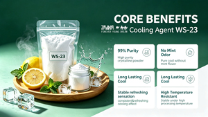 สารทำความเย็น WS23 ความเข้มข้นสูง รสเย็นนาน สารเติมแต่งอาหาร สารทำความเย็น WS-23 สำหรับเครื่องดื่มและผลิตภัณฑ์มิ้นท์ - Product Image 5