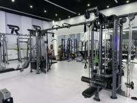 Máquina de Gimnasio de Calidad Premium para Entrenamiento de Fuerza, Multi-Jungle con Polea Doble y Sistema de Pesas