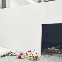 Panneaux sandwich en acier galvanisé de 200 mm avec isolation en polyuréthane PU/PIR, design industriel pour l'isolation des toits et des murs dans les chambres froides