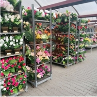 Carro de exhibición de hongos tipo Euro, carrito danés para plantas de vivero