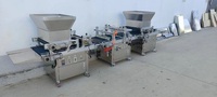 Machine automatique de semis de graines, machine de remplissage de plateaux de semis hydroponiques