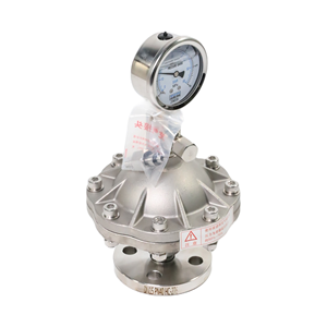 Amortisseur de pulsations à diaphragme en acier inoxydable, à brides, avec manomètre, amortisseur de pulsations - Product Image 5