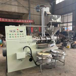 6yl-160 grande macchina pressa olio semi di soia 100-250kg semi freddi e piante di semi di arachidi olio di sesamo estrazione macchina - Product Image 3