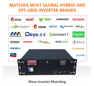 Sistem Penyimpanan Energi Rumah Tenaga Surya dengan Logo Kustom Baterai Lithium Ion 51.2V 100Ah 200Ah 48V Baterai LiFePO4 - Product Image 5