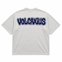 T-shirt vierge de luxe 240 GSM, style alternatif, impression de logo personnalisée, 100% coton filé à anneaux, coupe moderne minimaliste