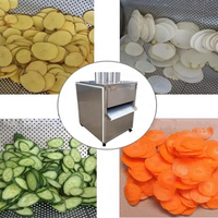 Commerciële aardappelchips snijmachine van roestvrij staal, geschikt voor bananen, plantains, groenten en fruit, voor voedselverwerking