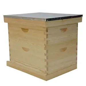 Benefit bee Holz bienenstock Imkerei Kit doppelte Ebenen nicht zusammen gebaut Langs troth Bienen kasten