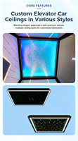 Pièces d'ascenseur de villa en métal modernes sur mesure avec cabine à éclairage LED, ensemble complet pré-assemblé pour résidences haut de gamme