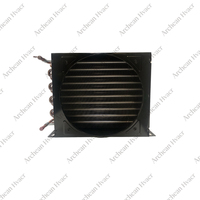 Équipement de condenseur refroidi par air de type FNH, radiateur à ailettes, échangeur de chaleur FNH-0.7/2