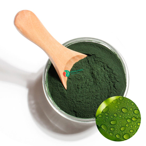 פיגמנט מזון טבעי אבקת כלורופיל סיטונאי 99% כלורופיל - Product Image 1