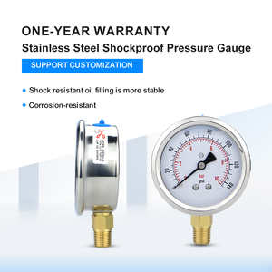 เกจวัดแรงดันไฮดรอลิกแบบทนการสั่นสะเทือนขนาดใหญ่ 62.5 มม. ข้อต่อทองเหลือง แบบเติมน้ำมัน - Product Image 6