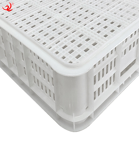 Bán buôn hậu cần siêu thị chuyển trang trại giá rẻ Giá nhựa trái cây Giỏ rau lưới phong cách hộp nhựa - Product Image 5