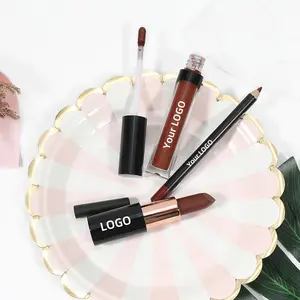 Popular más nuevo personalizado etiqueta privada Kits de brillo de labios vegano mate líquido lápiz labial Etiqueta Privada 10 colores lápiz labial conjunto de delineador de labios