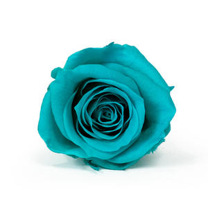 Yunnan eterno <span class=keywords><strong>Rose</strong></span> bouquet di grado B conservati secchi capolini 0.787-1.18in piante da fiore Decorative artigianali - Product Image 5