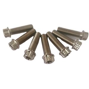 Memproduksi Baut <span class=keywords><strong>Titanium</strong></span> M4 M5 M6 M8 <span class=keywords><strong>GR5</strong></span> (6AL/4V) yang Dikustomisasi dengan Penggerak Torx - Product Image 6