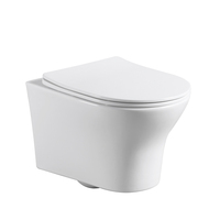Vente en gros usine WC suspendu en céramique monobloc moderne européen avec siphon à eau usée et réservoir encastré