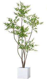 Cây bách xù phía Nam nhân tạo quy mô lớn trang trí sàn phòng khách trong nhà cao cấp sinh học cao cấp trang trí chậu - Product Image 6