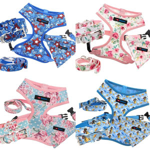 メーカーカスタム おとぎ話テーマ 犬用首輪 リード 引っ張り防止ハーネスセット カボチャの馬車と城柄デザイン ペット向け - Product Image 2