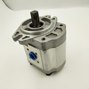 Bomba de Aceite para Grúa Grande CBK1008/1010/1016-A1FR, Bomba de Engranajes CBK1012/16-B4FR, Bomba de Engranajes Hidráulica CBK1016-A15FL - Product Image 3