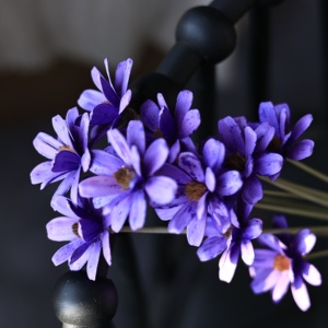 Bouquet di <span class=keywords><strong>Fiori</strong></span> Secchi Daisy Fatti a Mano di Origine Yunnan, Ecologici e Duraturi, con Scaglie di Legno e <span class=keywords><strong>Fiori</strong></span> di <span class=keywords><strong>Semi</strong></span> di Melone, Colori <span class=keywords><strong>Misti</strong></span> per Interni - Product Image 5