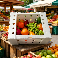Boîte d'emballage en plastique ondulé OEM, boîte en panneau alvéolaire PP réutilisable pour l'emballage des fruits et légumes, impression personnalisée, boîte d'expédition