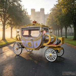 Structure de carrosserie royale décorative de luxe pour carrosse à chevaux, idéale pour les divertissements en villa et les cérémonies en plein air - Product Image 1