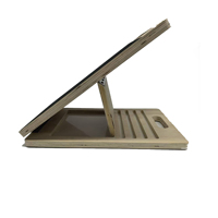 Planche inclinée portable Skyhope-K en bois épais pour étirements des mollets, squats, équipement de physiothérapie, planche inclinée réglable