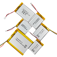 Échantillons Gratuits d'Usine, Batterie au Lithium Polymère Rechargeable 3.7V Personnalisée, Résistante aux Hautes et Basses Températures, pour Appareil Portable
