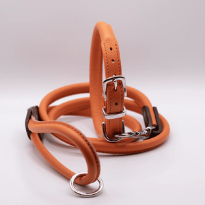 <span class=keywords><strong>2025</strong></span> nuevo producto para mascotas correa de cuero genuino personalizada <span class=keywords><strong>collar</strong></span> de perro de cuero suave enrollado y juego de plomo - Product Image 3