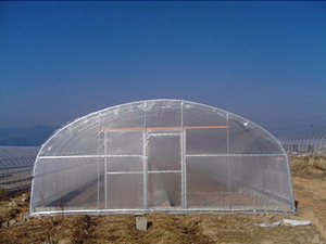 Struttura in acciaio per Tunnel con struttura in acciaio agricolo a cerchio serra 8*30M altezza 3M per la vendita completa del contenitore - Product Image 4