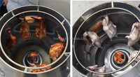Four à rôtir au gaz commercial, style chinois, pour porc et canard, destiné aux restaurants et aux services de restauration