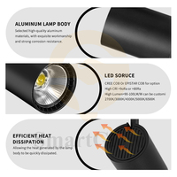 Precio competitivo riel de techo foco de luz Led Tracklight 12W 20W 30W 40W ajustable 3cct regulable COB Led luces de pista