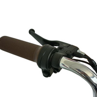 Sepeda Listrik Lipat Ringan 350W Motor Tengah untuk Perjalanan Kota, Cocok untuk 2 Orang Dewasa