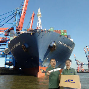 Muestra Gratuita de Transporte de Carga Puerta a Puerta, Agente de Logística de <span class=keywords><strong>Shenzhen</strong></span>, Transitario, Envío de China a Japón, Envío Fba - Product Image 6